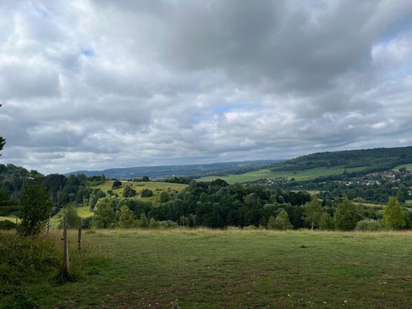 View from Box Hill